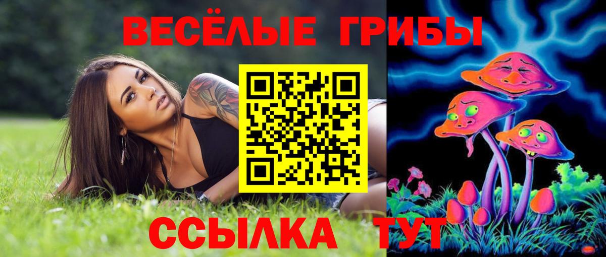 Галлюциногенные грибы мухоморы  Вход с VPN  Красногорск 